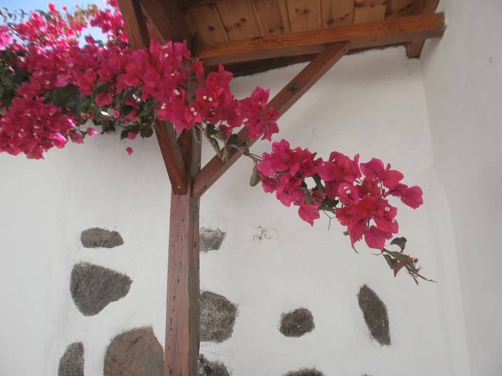 Finca Las Palmeras Icod De Los Vinos Exterior foto