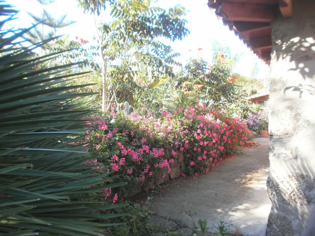 Finca Las Palmeras Icod De Los Vinos Exterior foto