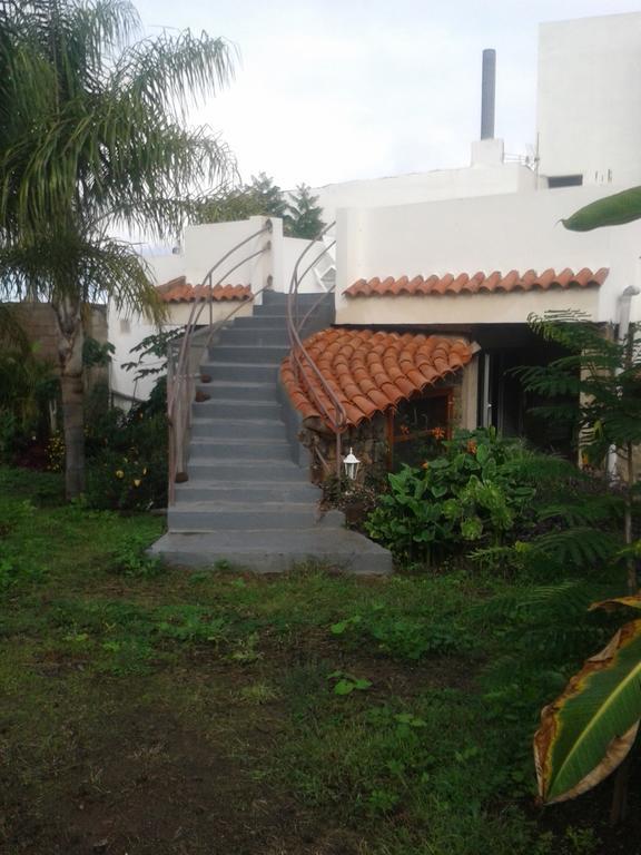 Finca Las Palmeras Icod De Los Vinos Zimmer foto