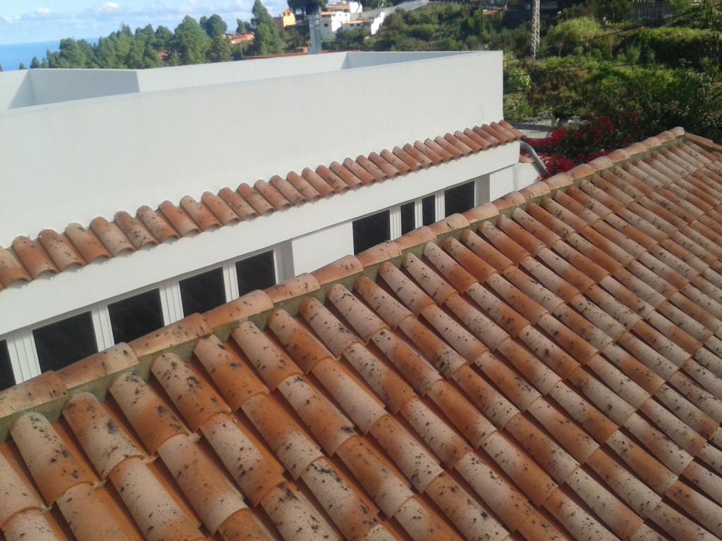 Finca Las Palmeras Icod De Los Vinos Zimmer foto