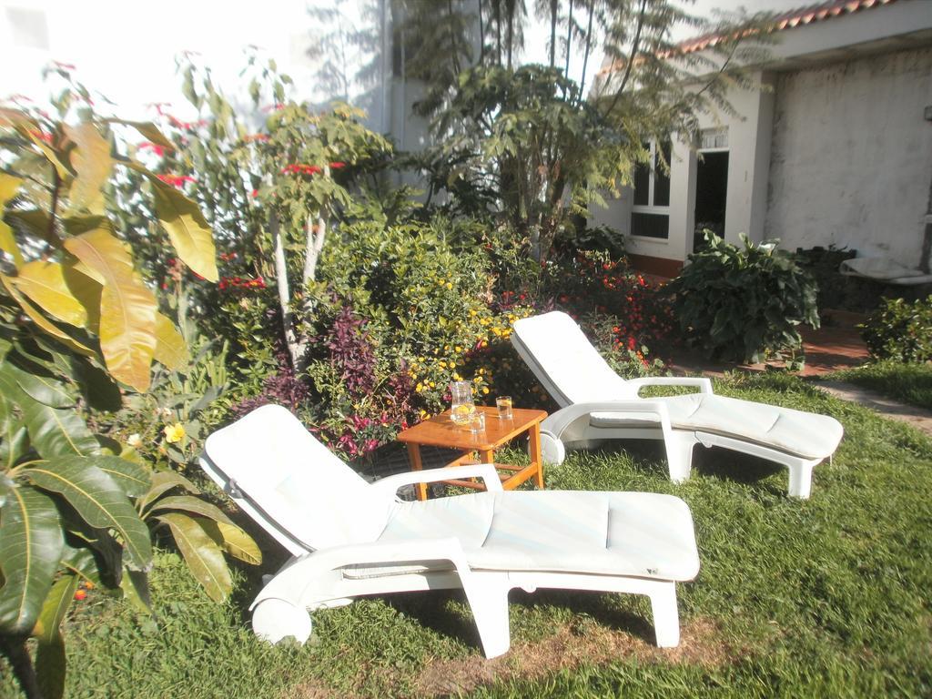 Finca Las Palmeras Icod De Los Vinos Exterior foto